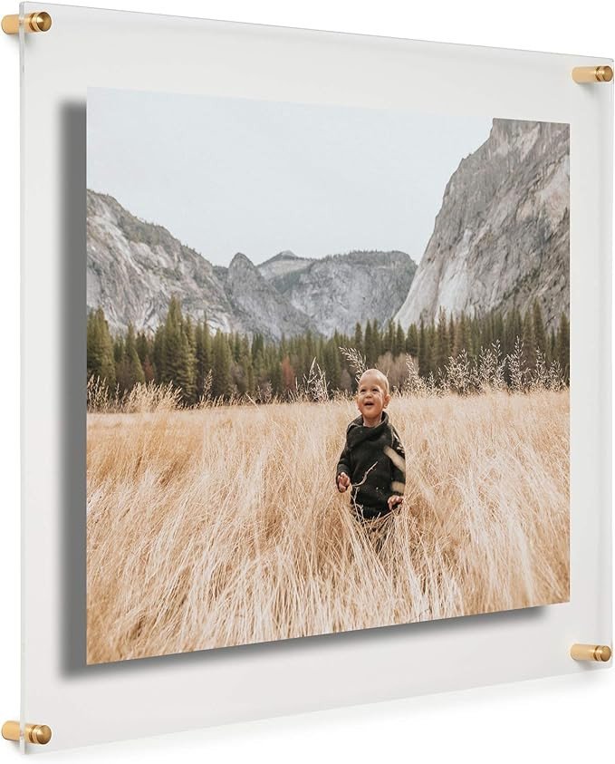 16x20" Clear Double Panel Floating Acrylic Picture Frame Display with Gold Hardware for Displayin... | Amazon (US)