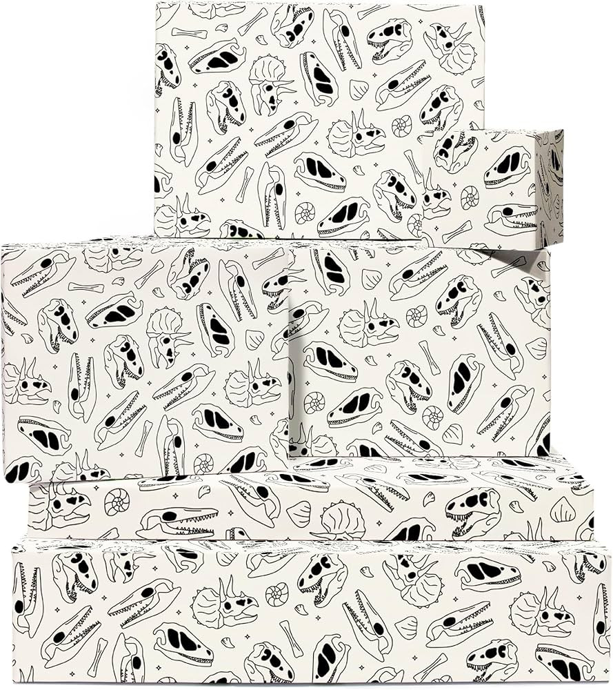 Central 23 - Birthday Wrapping Paper for Boys - Dinosaur Bones - Fossils - For Kids - 6 Gift Wrap... | Amazon (CA)