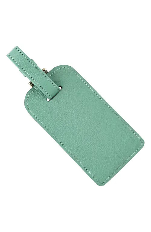 Graphic Image Leather Luggage Tag in Robins Egg Blue at Nordstrom | Nordstrom