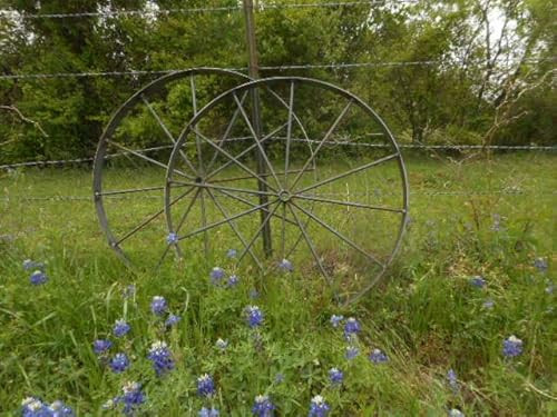 2pcs A Pair of 36" Steel Metal Decorative Wagon Wheels | Amazon (US)