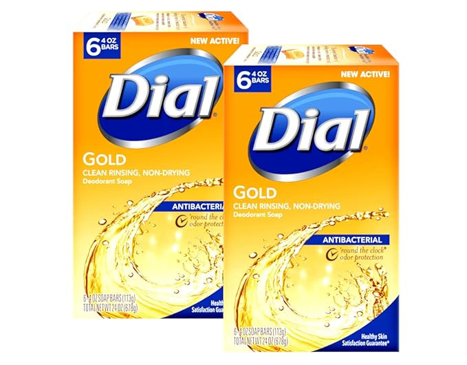 Dial Antibacterial Soap Bar, Gold, 6 Count (Pack of 2) | Amazon (US)