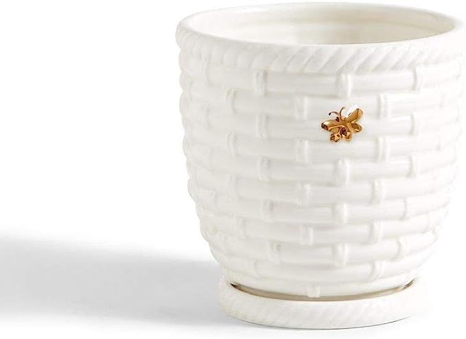 Two's Company Bee Happy Bee Skep and Golden Bee Planter Pot with Saucer | Amazon (US)