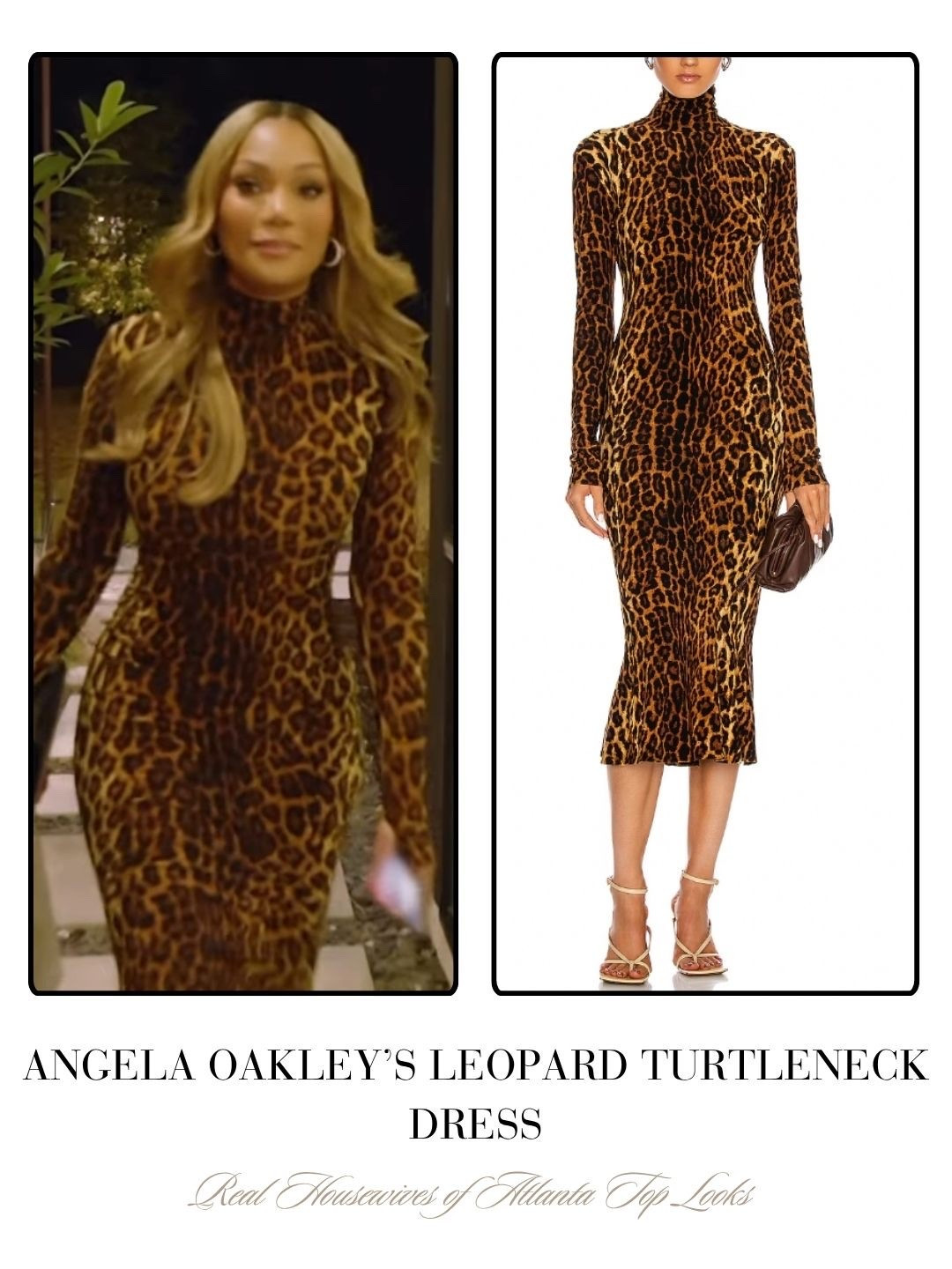Angela Oakley’s Leopard Turtleneck Dress