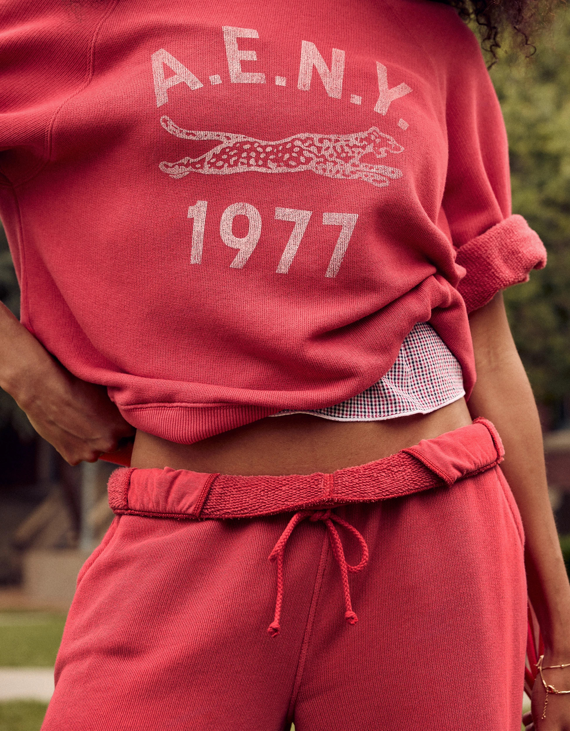 AE Campus Short-Sleeve Sweatshirt | American Eagle Outfitters (US & CA)
