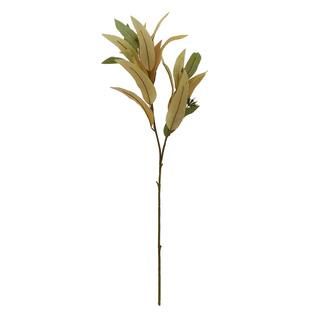 Cream and Light Brown Long Eucalyptus Stem by Ashland® | Michaels Stores