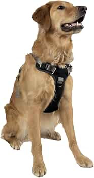 Embark Adventure Dog Harness, No Pull Dog Harness with 2 Leash Clips, Dog Harness for Large Dogs ... | Amazon (US)