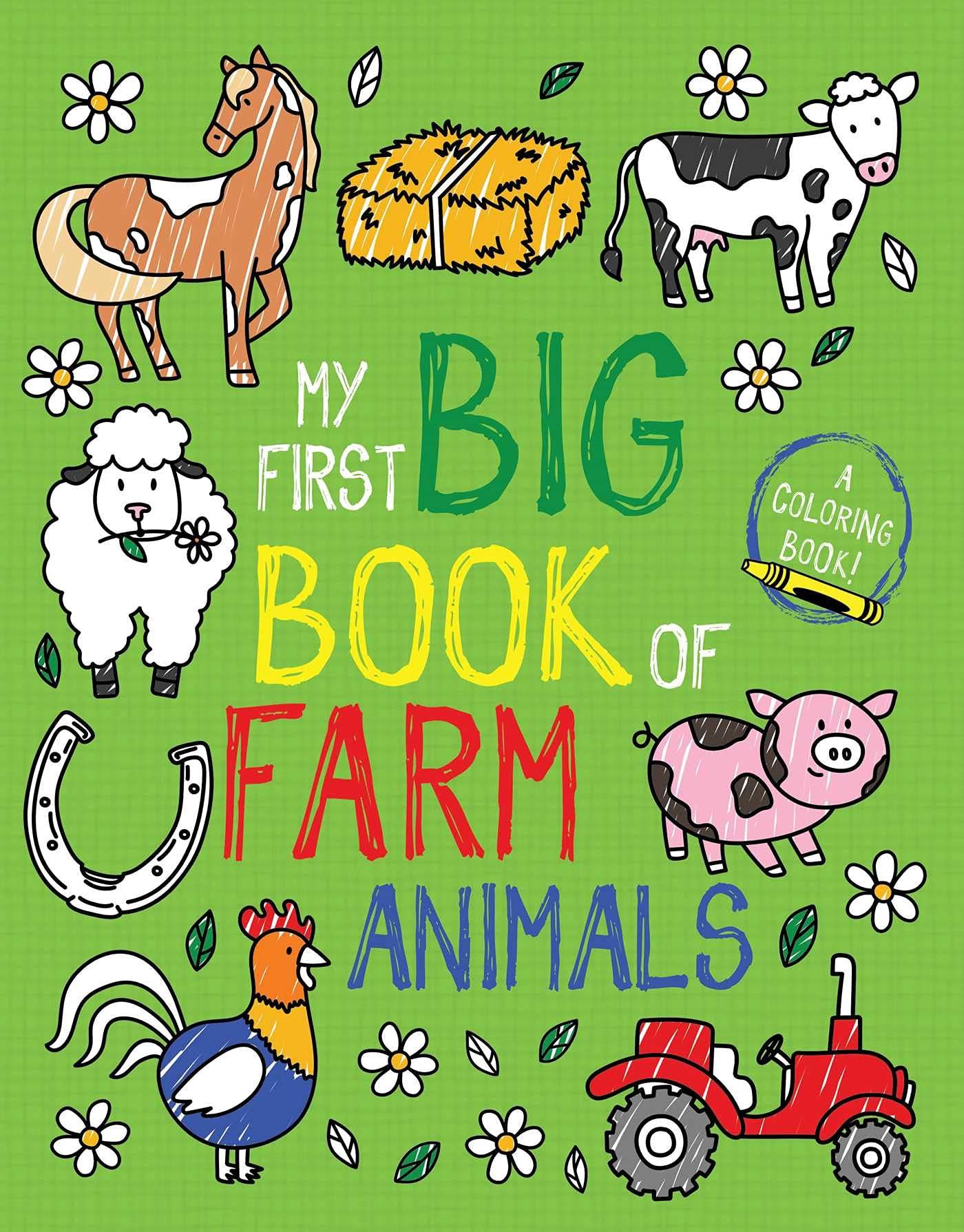 My First Big Book of Farm Animals (My First Big Book of Coloring)    Paperback – Coloring Book,... | Amazon (US)