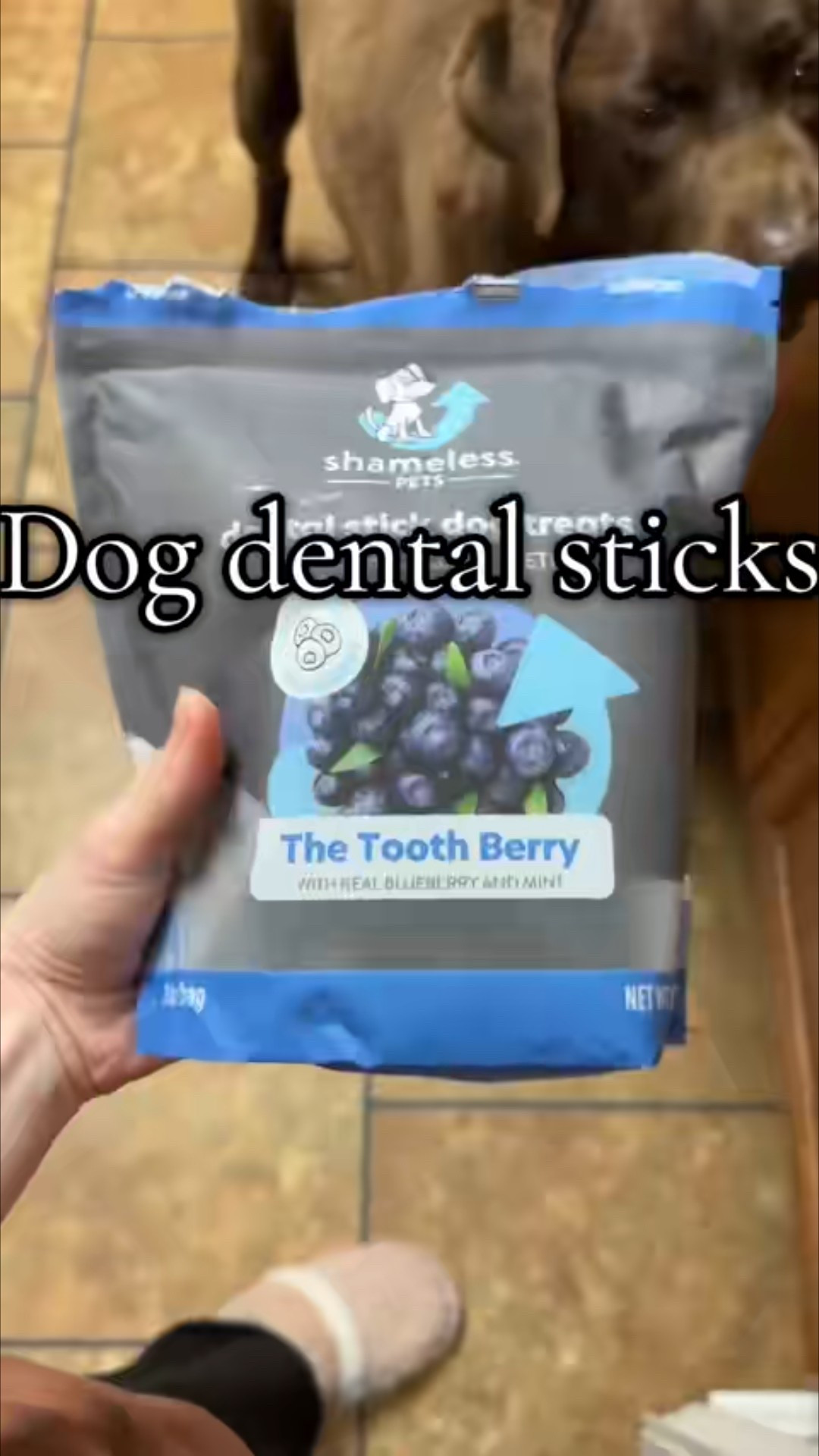My pups loved these dental sticks!!

#LTKPets #LTKFamily