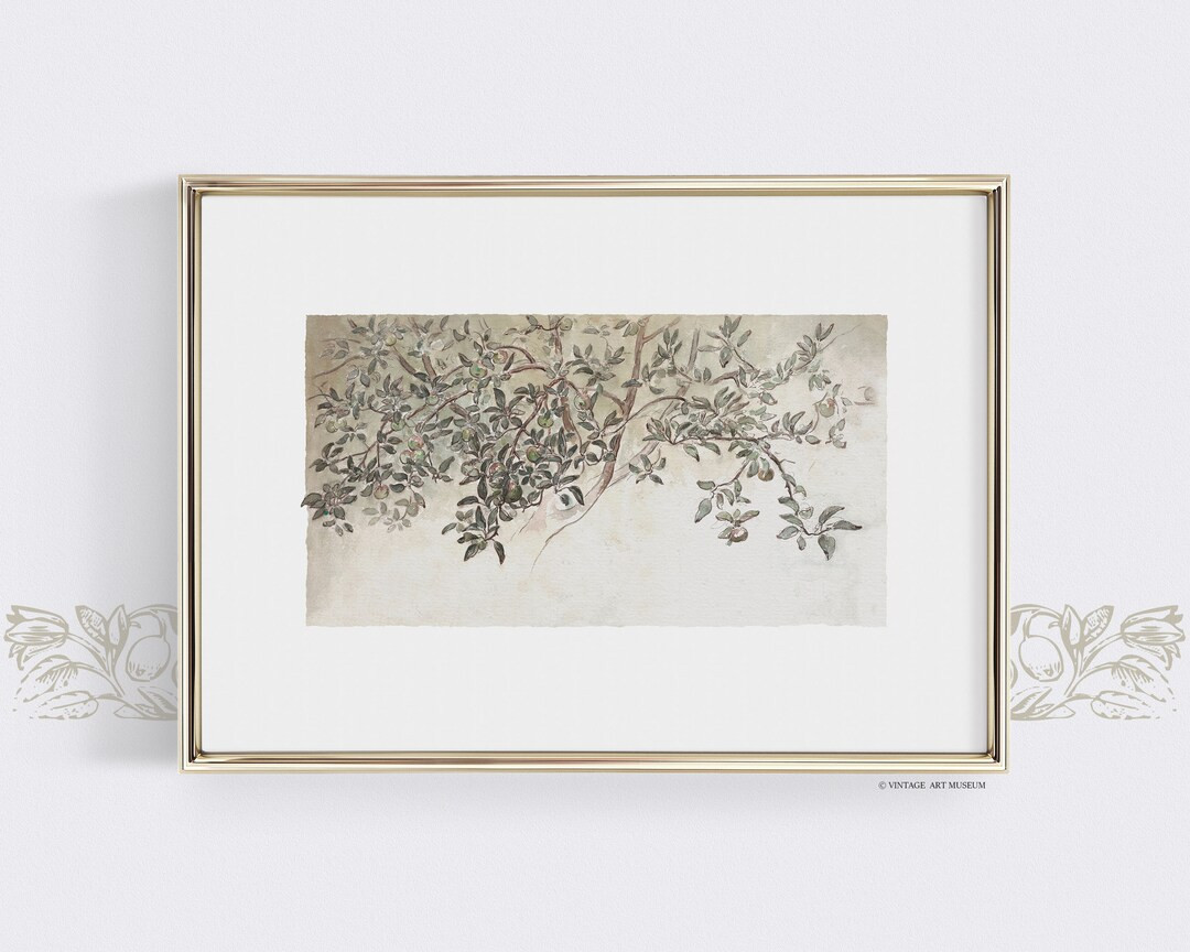 Vintage Neutral Apple Tree Sketch Art Print Farmhouse Kitchen - Etsy | Etsy (US)