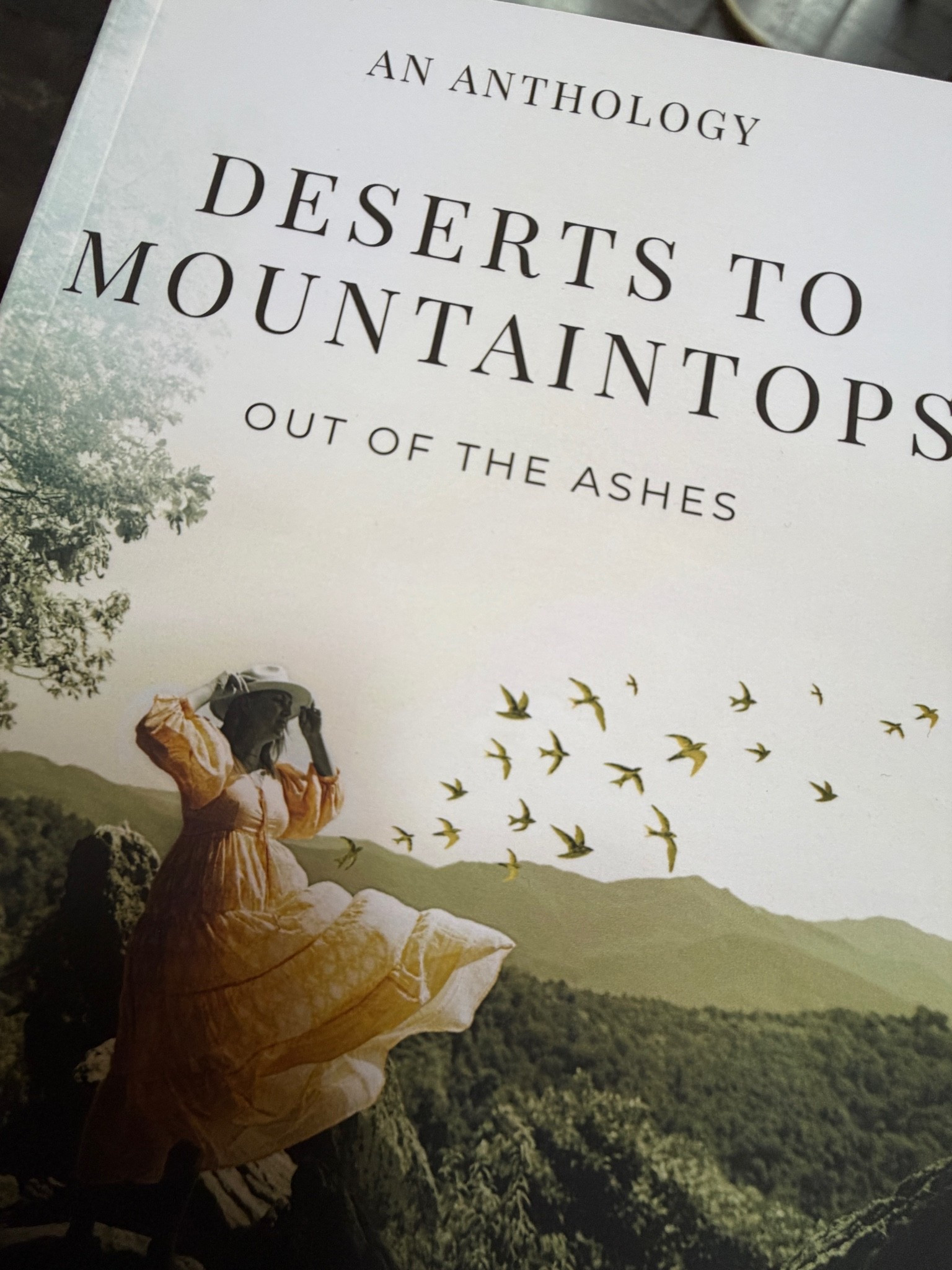 This book is a collection of real stories from women who refused to be defined by what tried to break them. Stories of loss, healing, courage, and reclamation. Stories that remind us that even after the fire, something new can begin.

“For years, I’d handed over my power without even realizing it… But in that moment, power came back to me. Mine. All of it. I held life in one hand and death in the other, and I chose life.”

#LTKstorytime #LTKOver40 #LTKselfcare