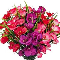 8 Bundles Artificial Hibiscus Flowers for Outdoor Faux UV Resistant Fake Silk Plants Flower for Front Porch Pot Planters Garden Window Box Indoor Home Decor (Red, Pink, Purple Red) | Amazon (US)