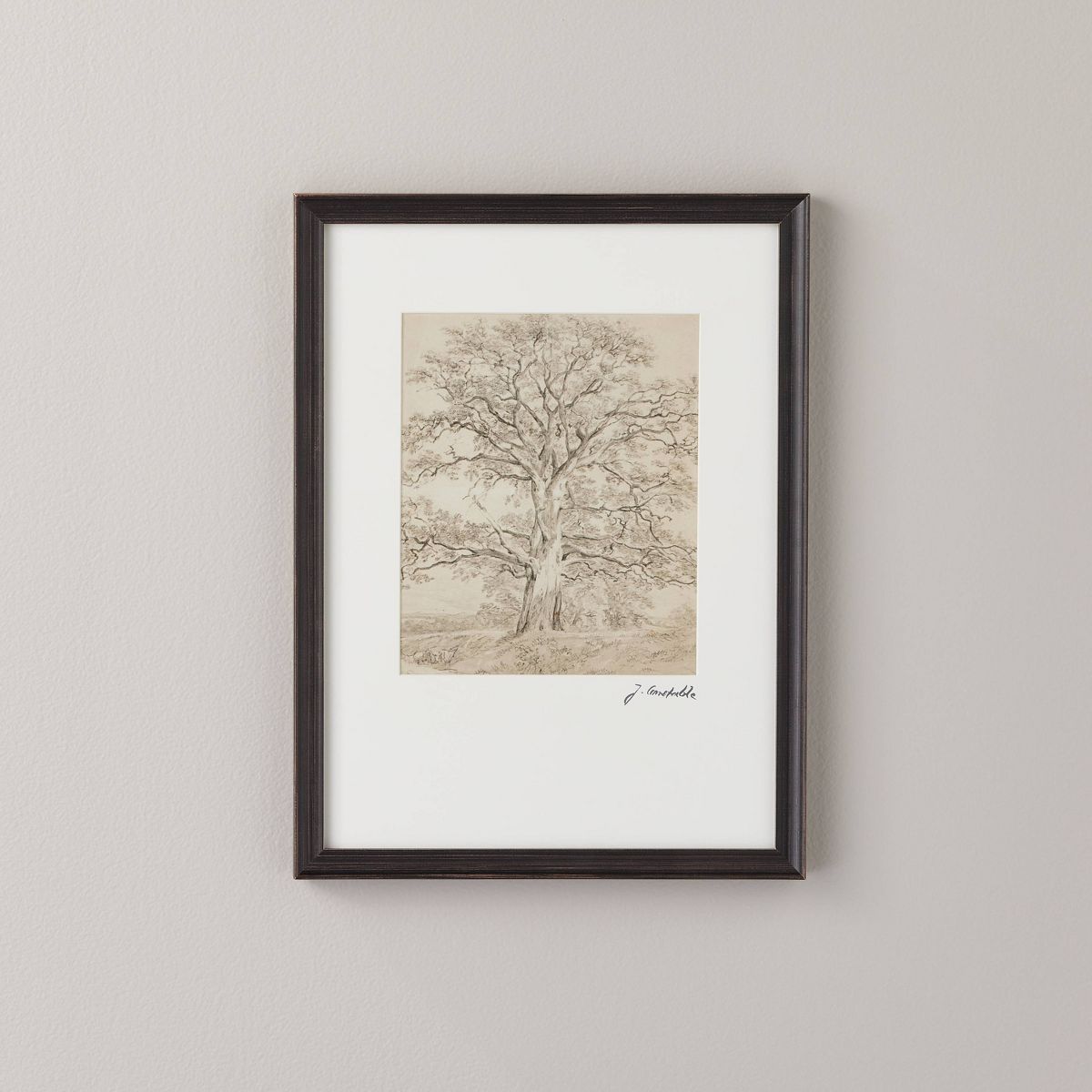 12"x16" Great Oak Tree Sketch Neutral Framed Wall Art - Hearth & Hand™ with Magnolia | Target