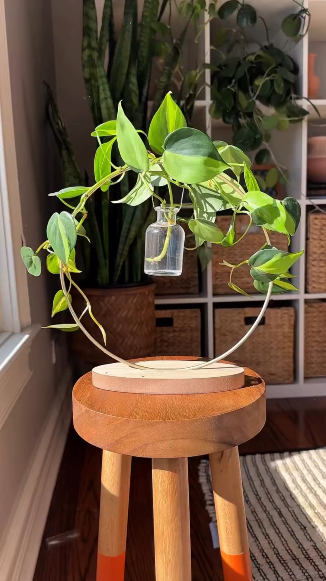 What’s not to love about a propagation wreath! I love this one so much. Such a unique way to enjoy your plant babies.🌿☀️



#LTKHome #LTKStyleTip