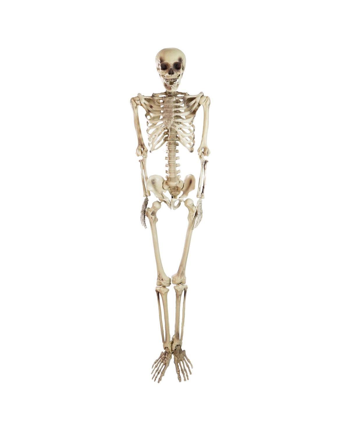 Life Size Skeleton Halloween Decoration, 5' | Macys (US)