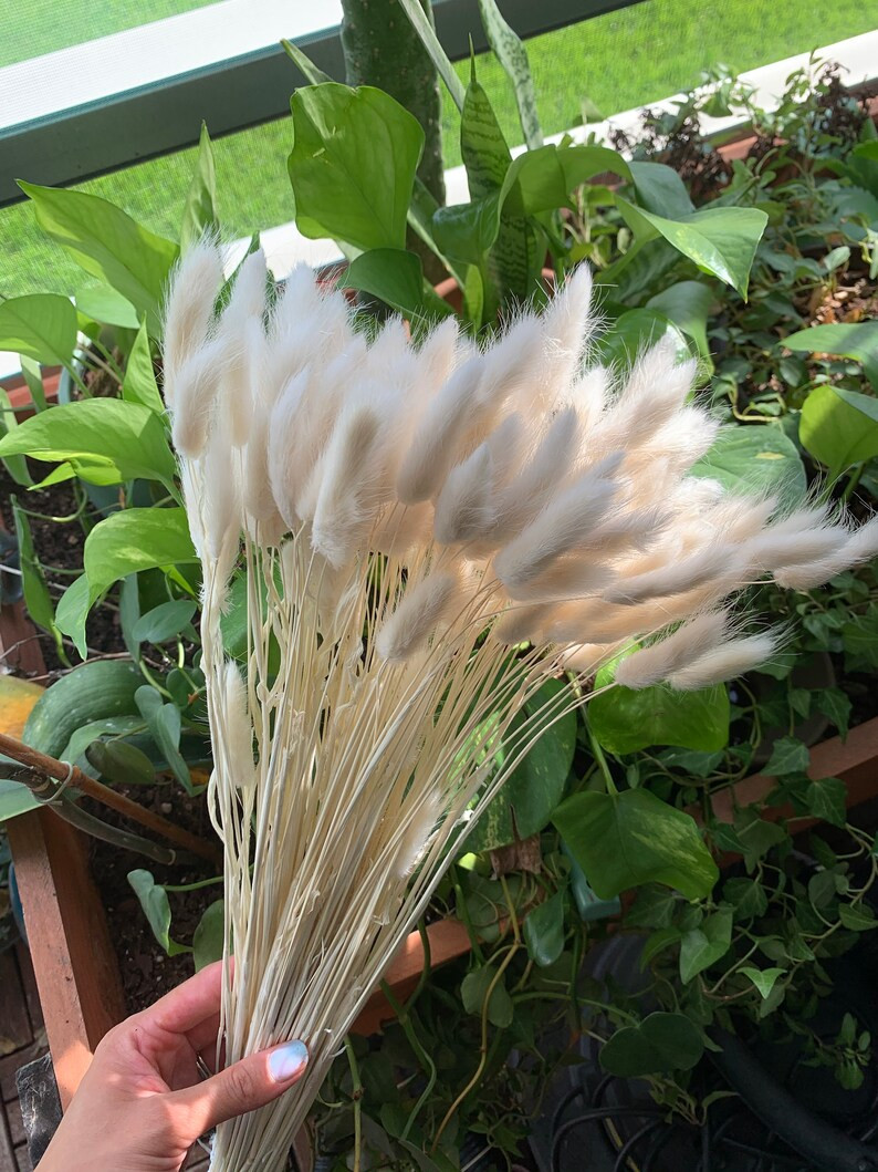 Buy together, get free shipping | Etsy (US)