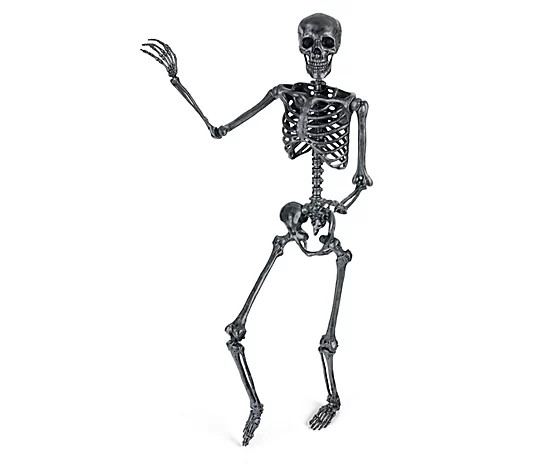 Grandin Road 5' Dark Grey Skeleton - QVC.com | QVC