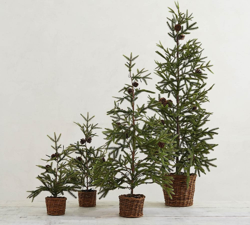 Pre-Lit Faux Pine Trees in Baskets | Pottery Barn (US)