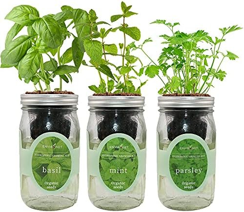 Environet Hydroponic Herb Growing Kit Set, Self-Watering Mason Jar Herb Garden Starter Kit Indoor, W | Amazon (US)