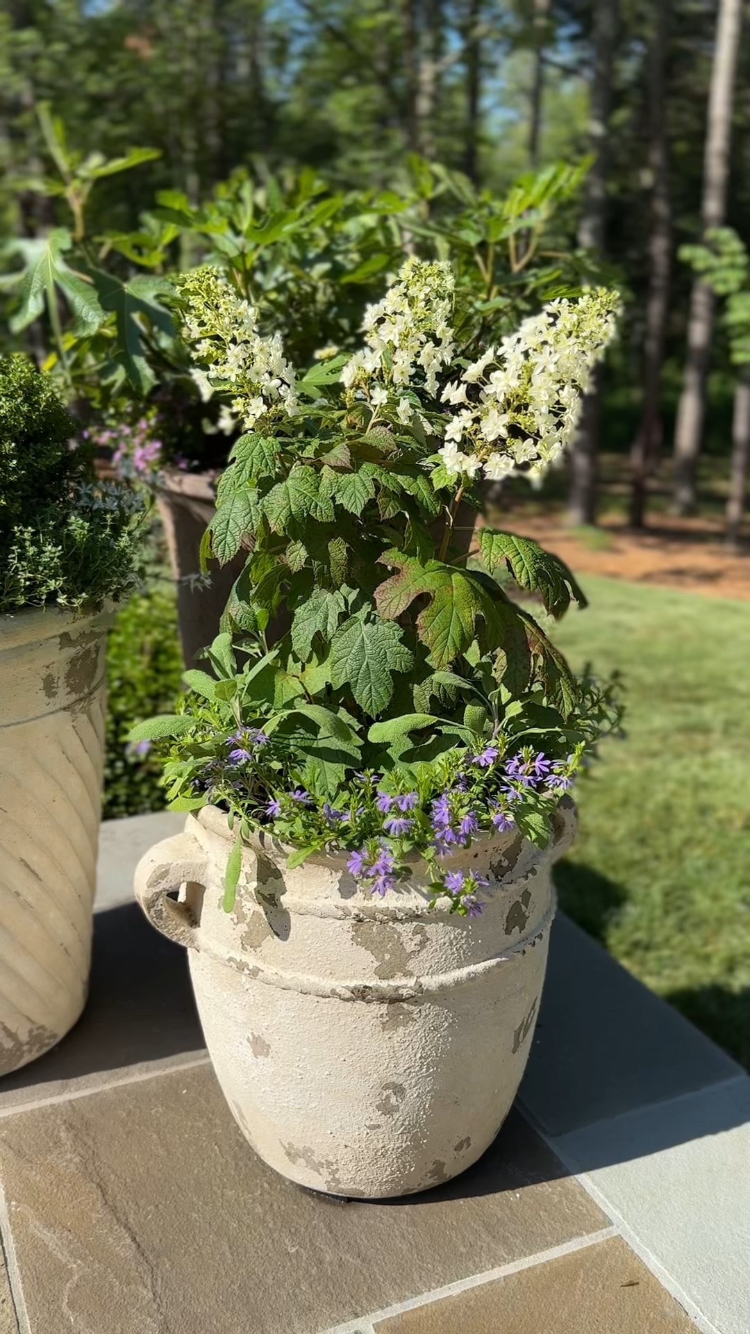 Get the planters from the 2025 Southern Living® Idea House!🏡 

#LTKStyleTip #LTKSeasonal #LTKHome