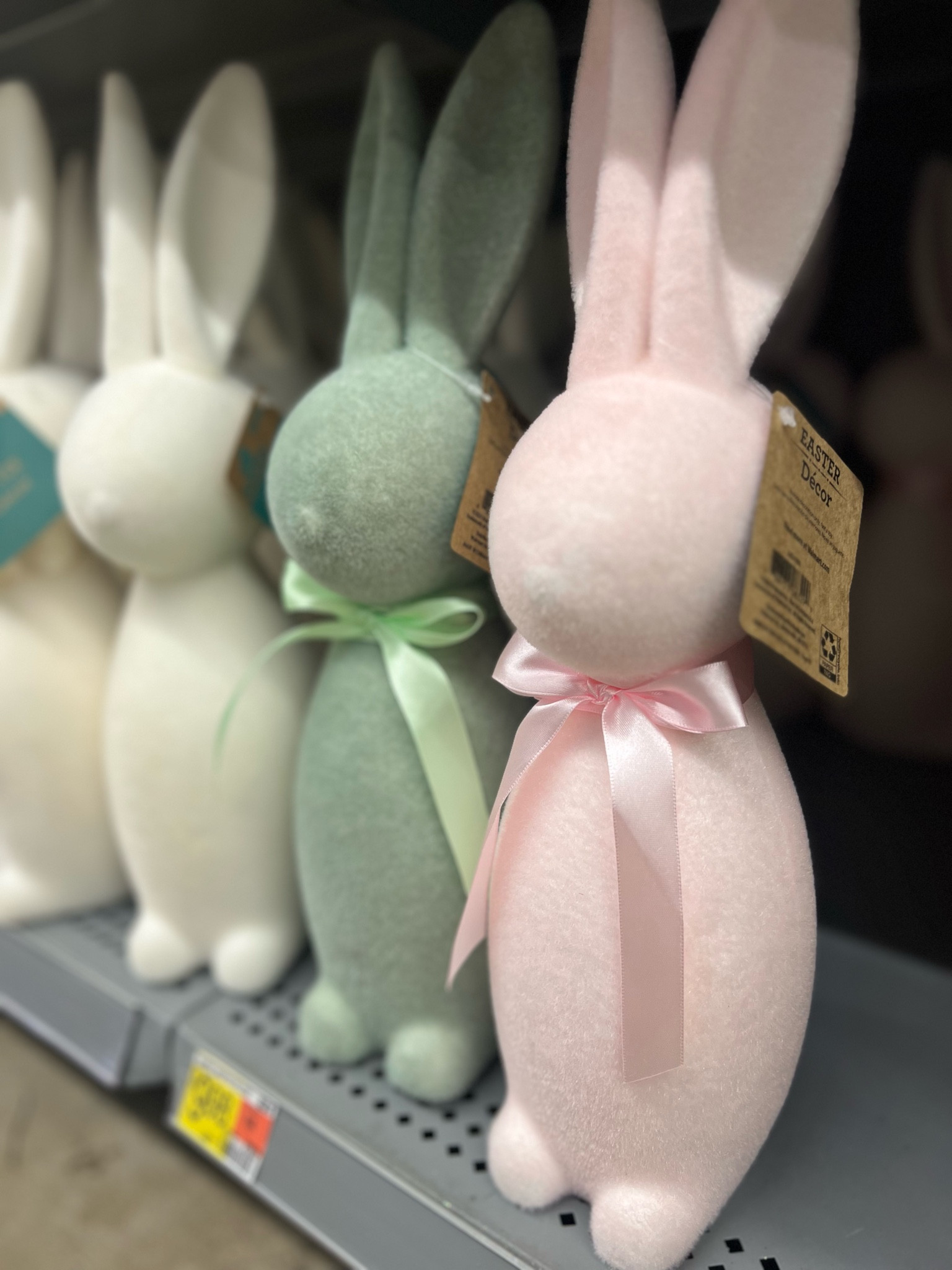 Walmart Easter spring decor

#LTKhome #LTKSeasonal #LTKfindsunder50
