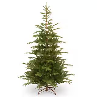 National Tree Company 7.5 ft. Norwegian Spruce Tree with Clear Lights-PENG4-300-75 - The Home Dep... | The Home Depot