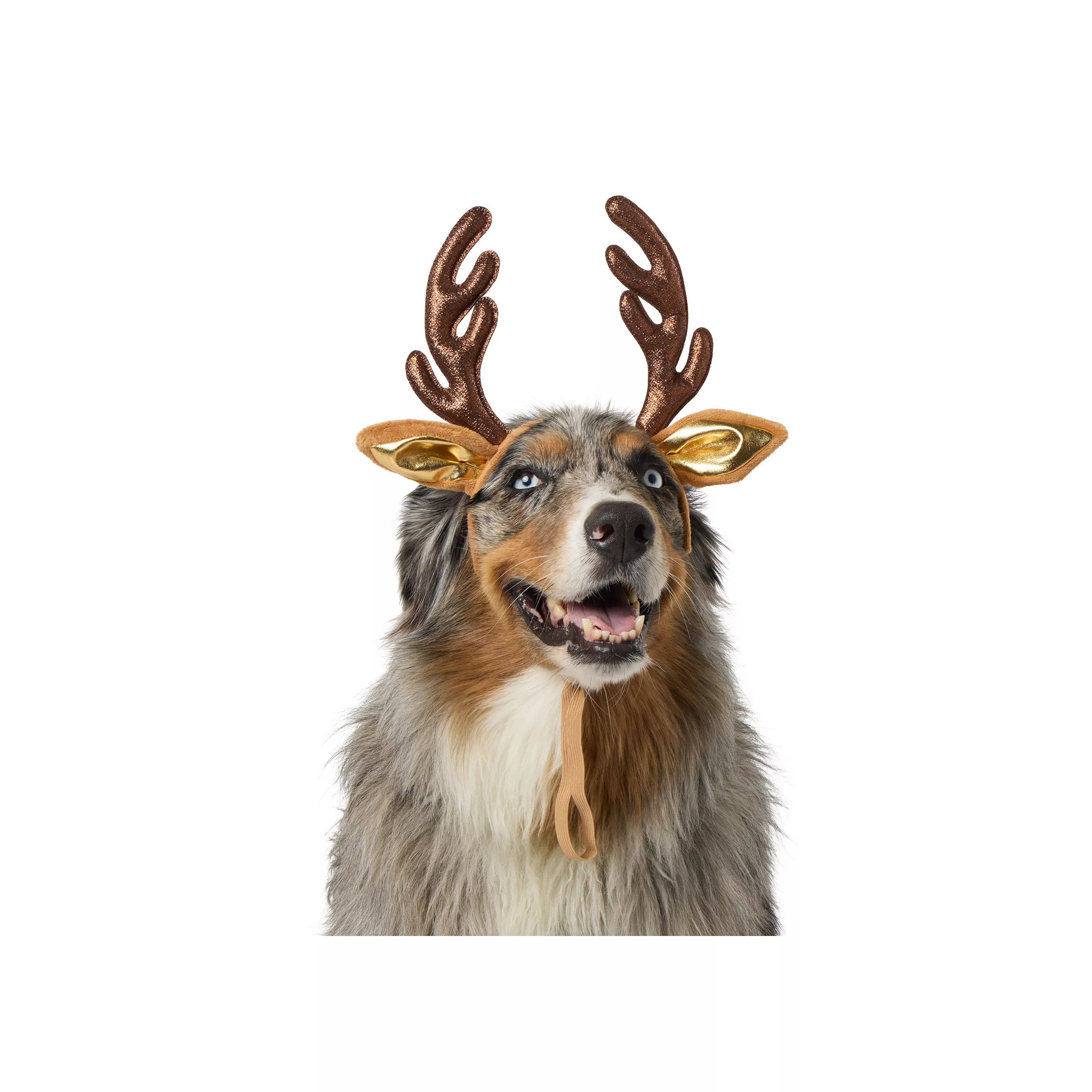 Merry & Bright&trade; Reindeer Holiday Headpiece, Dog & Cat | PetSmart