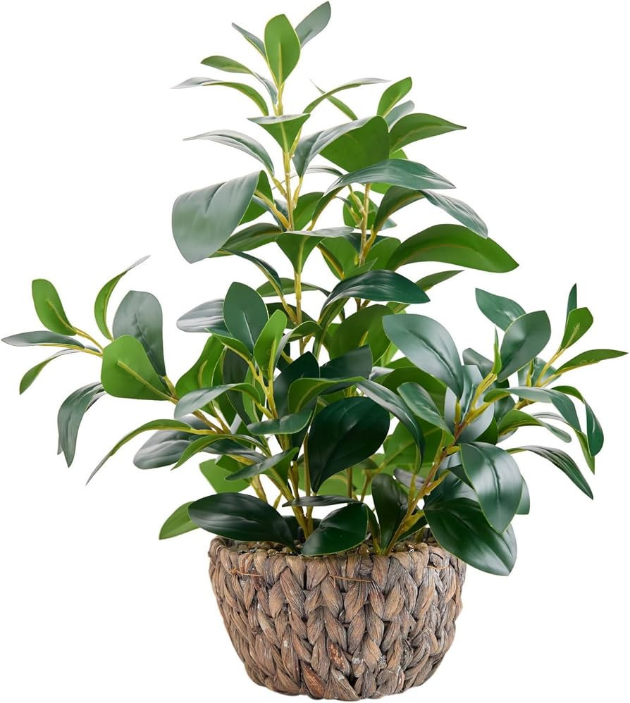AlphaAcc Fake Indoor Ficus Plant in Rattan Basket Planter Home Office Decor | Amazon (US)