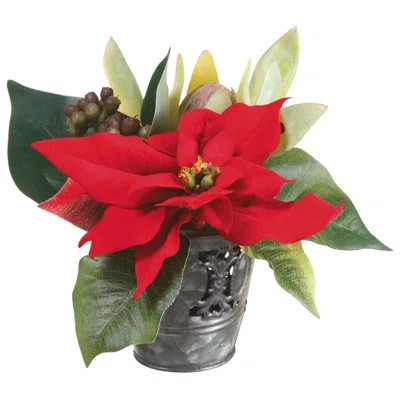 Velvet Poinsettia & Protea Desk Top Plant in Pot | Wayfair North America