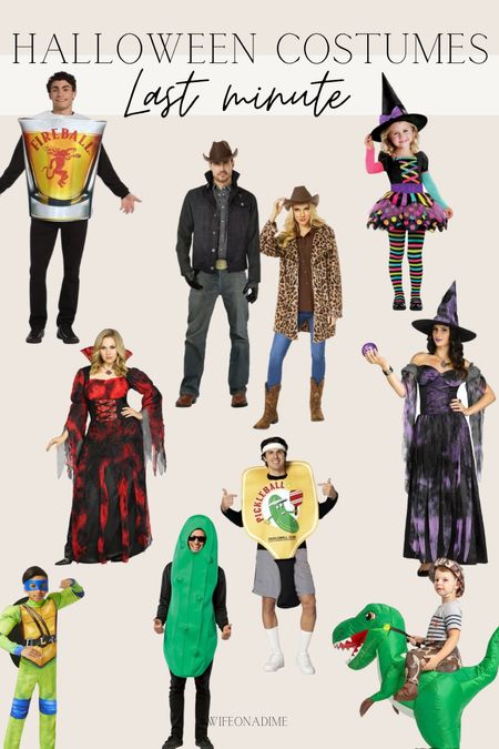 Affordable costumes for the family and most of these are on sale! In stock and fast shipping in these Halloween costumes! 

#LTKHalloween #LTKparties #LTKsalealert