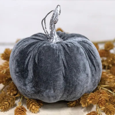 Velvet Pumpkin Sculpture | Wayfair North America