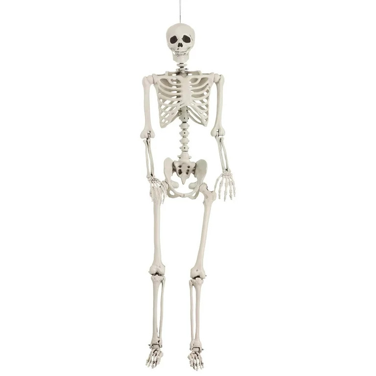 5 Ft Posable Skeleton Prop | Walmart (US)
