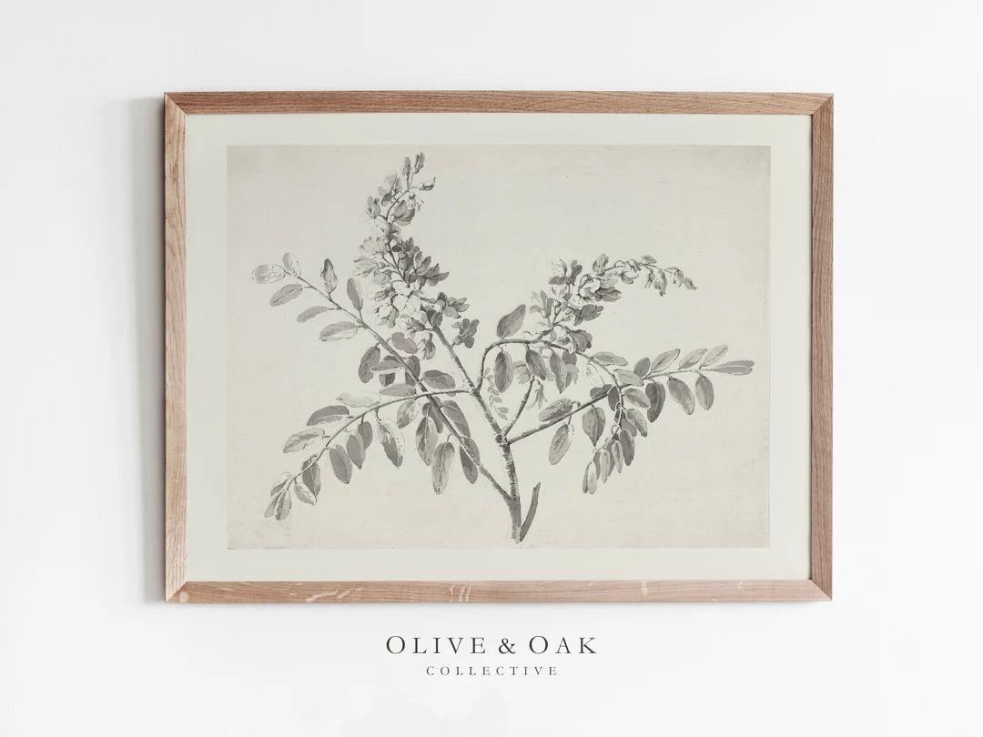 Vintage Branch Sketch / Digital PRINTABLE WALL ART / Antique Botanical Drawing / Farmhouse Art Pr... | Etsy (US)