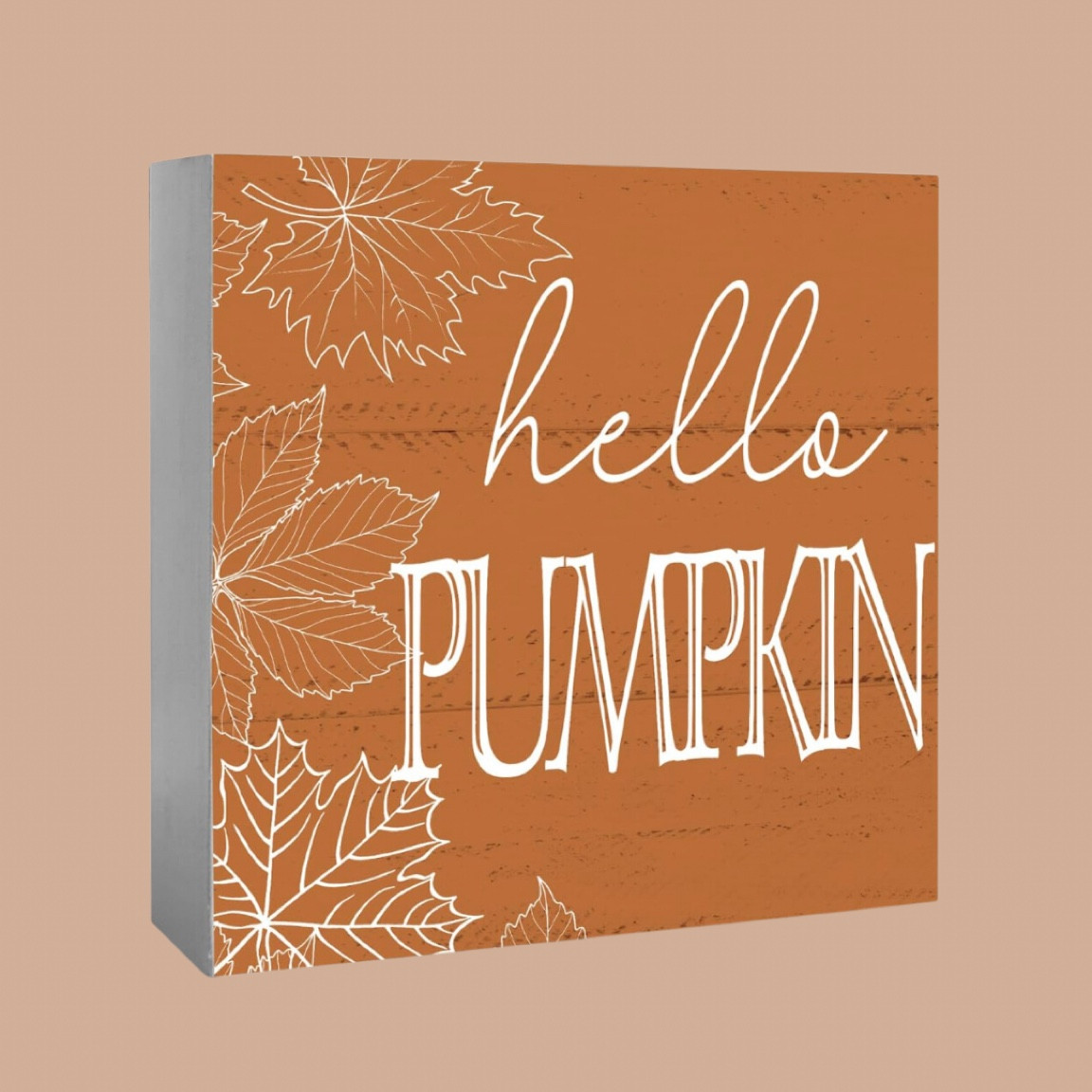Fall decor



#LTKSeasonal #LTKHome