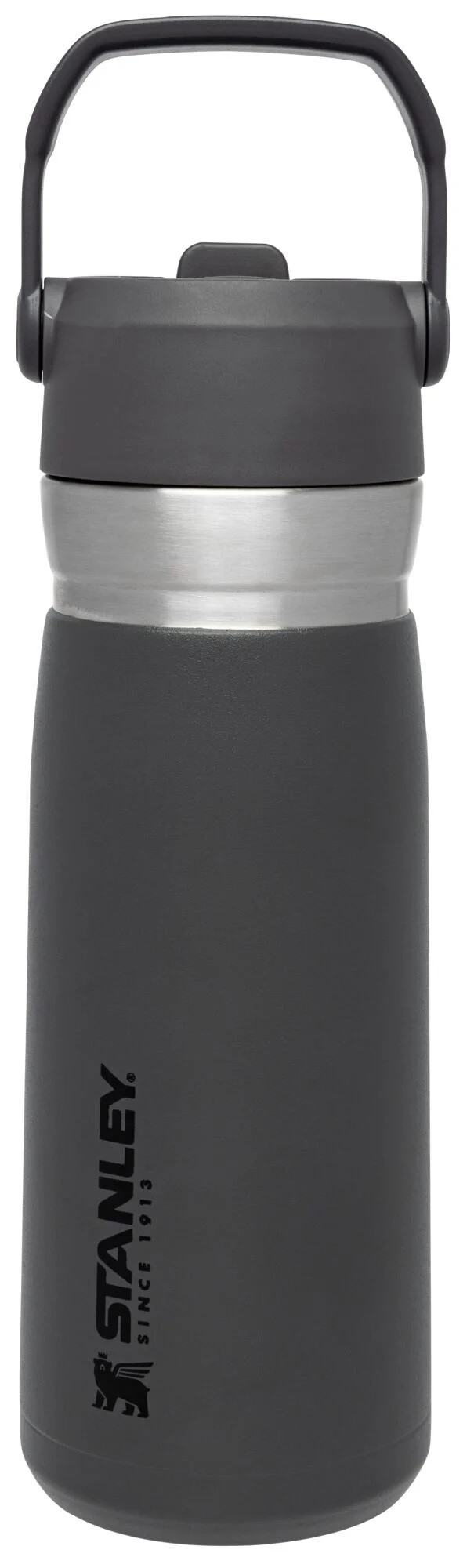 STANLEY 22 oz Gray and Silver Insulated Stainless Steel Water Bottle with Straw and Flip-Top Lid - Walmart.com | Walmart (US)