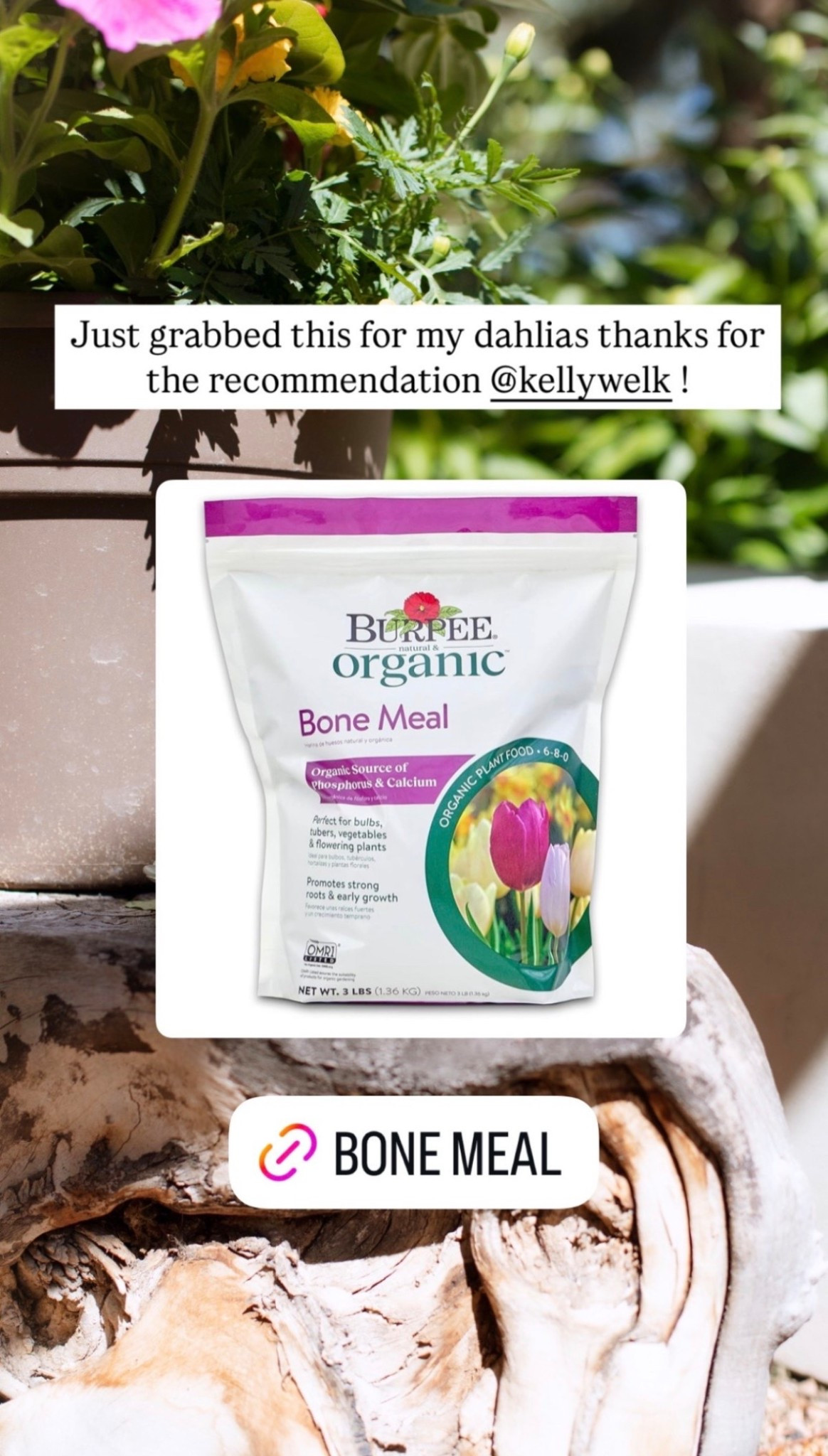 Bone meal for my dahlias!🌸



#LTKHome #LTKSaleAlert #LTKSeasonal