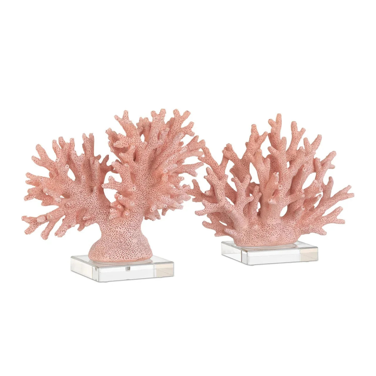 Fire Coral - Set of 2 | Cailini Coastal