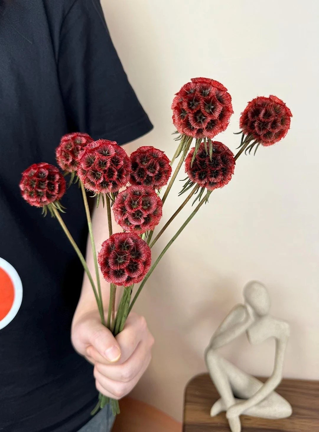 These dried red scabiosa pods are a bold, textural accent that instantly elevates any DIY project. With rich color and organic shape, they’re perfect for vase styling, bouquet building, wedding décor, or adding depth to dried flower arrangements. Each bundle includes 10 naturally varied stems, making every creation feel one-of-a-kind and beautifully handcrafted.
#LTKfinds #LTKhome #driedflowers #craftsupplies #weddingdecor #floralstyling #diydecor #vasedecor #bouquetinspo #etsyfinds

#LTKHome #LTKWedding #LTKSeasonal