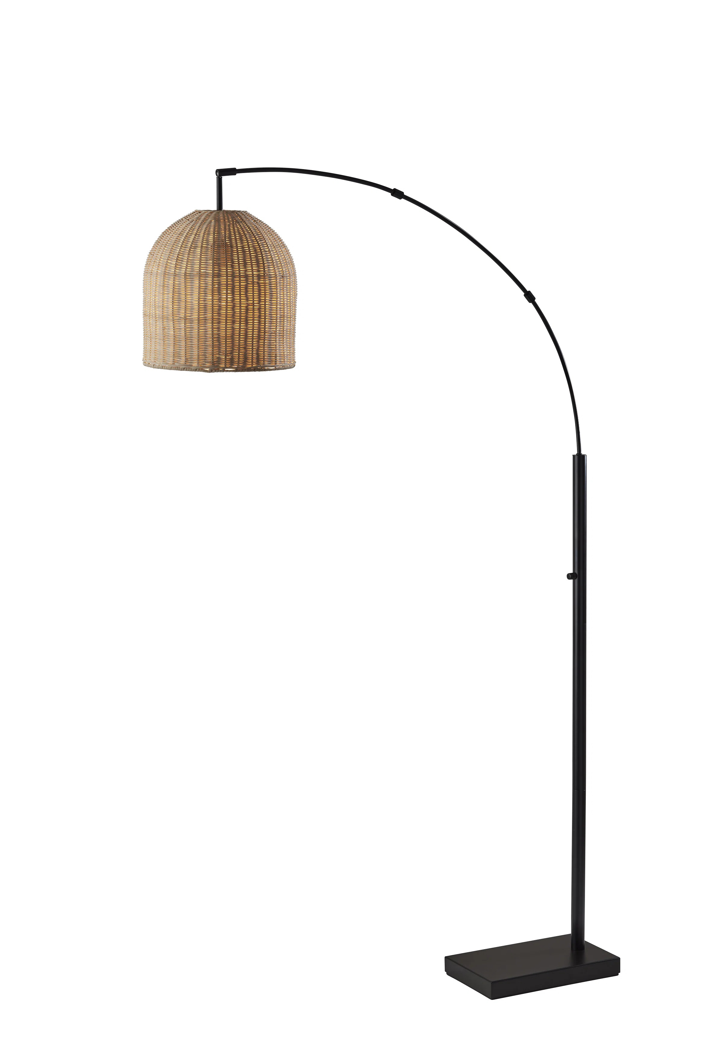 Zac 80'' Dark Bronze Arched Floor Lamp | Wayfair North America