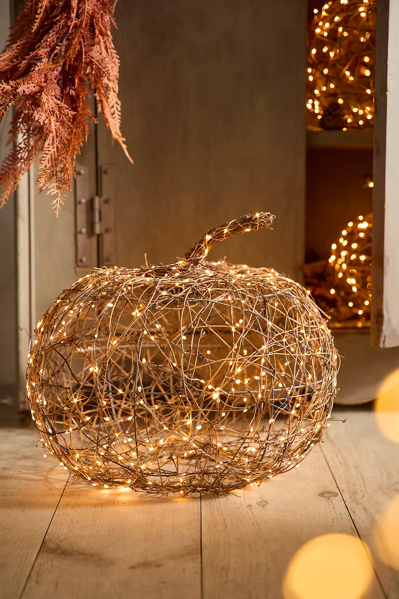 Illuminated Vine Pumpkin | Anthropologie (US)