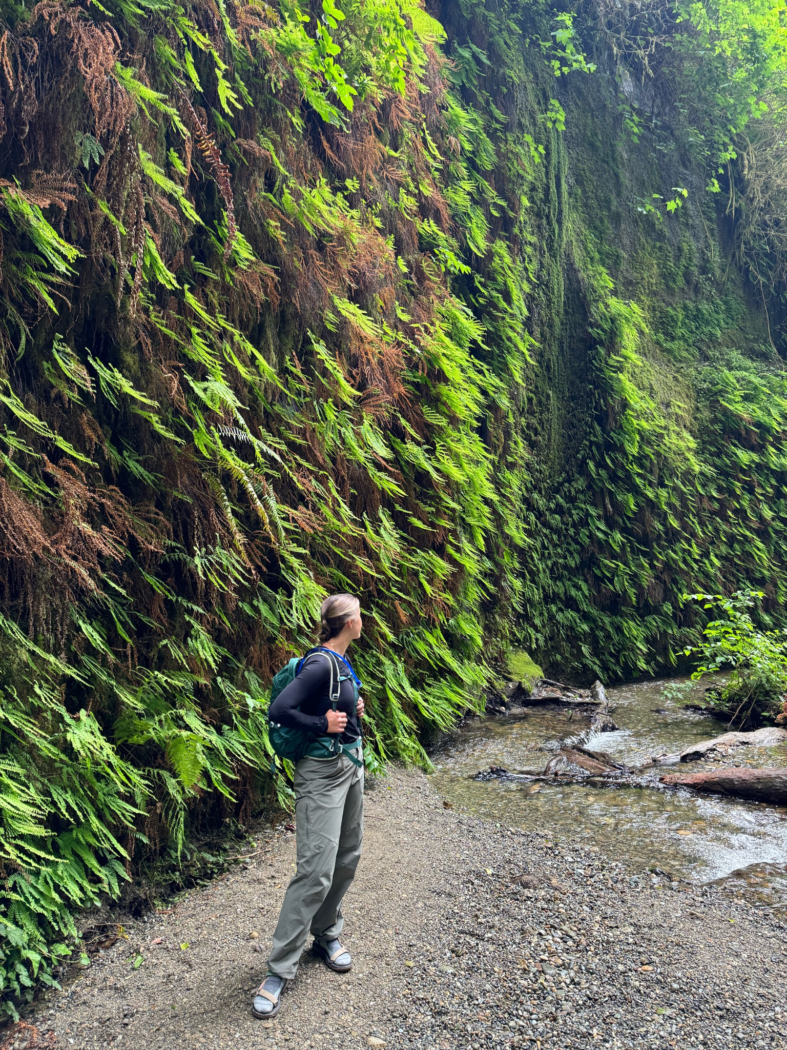 waterproof hiking pants with a scrunchie bottom option! loved them sm I got them in black too! def pricey but I’ve worn these most days on our road trip! good for curvy body types ☺️ 

#LTKActive