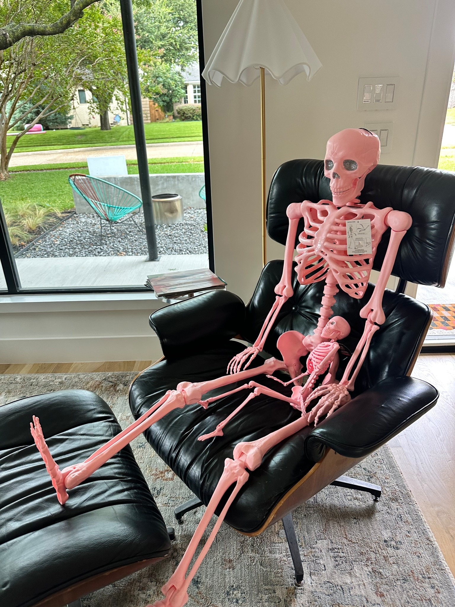 made themselves right at home. 
💞💀

#LTKHome #LTKOver40 #LTKSeasonal