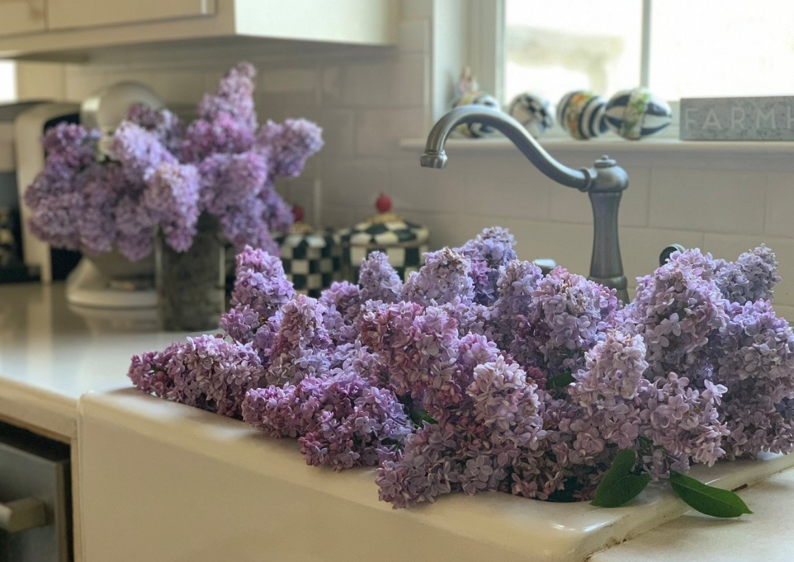 I love these beautiful Mackenzie-Childs courtly check Easter eggs! They look great paired with my black and white courtly check canisters. They look great paired with lilacs! I shared a beautiful lilac tree that will be perfect in your garden 💗 

#LTKdayinmylife #LTKHome #LTKSeasonal