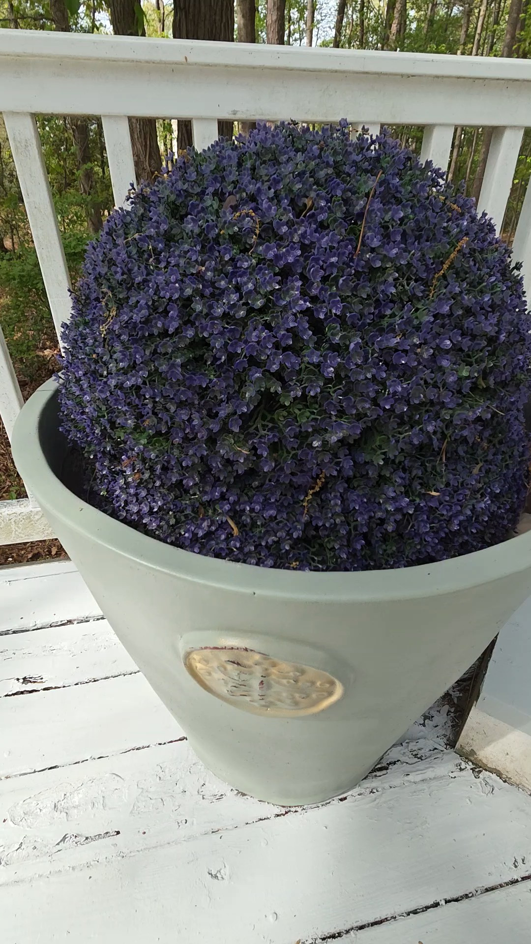 My love of paint knows no bounds I LOVED these french glazed planters but the colors matched the old color scheme of our outdoor poolside set up. But there needed an update. Enter evergreen fog by Sherwin Williams and a little gold spray paint. Voila NEW LOOK

#LTKHome #LTKvlog #LTKstorytime