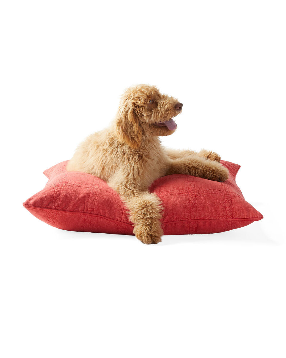 Beach House Dog Pillow | Serena and Lily