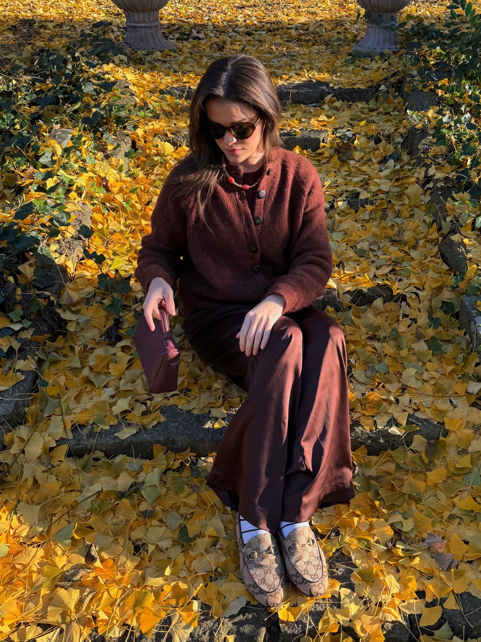 Fall color explosion 🍂🍁