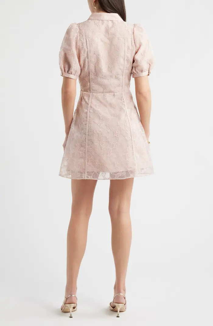 Floral Embroidered Puff Sleeve Minidress | Nordstrom
