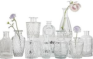 Glass Bud Vase Set of 10 - Mini Vintage Vases for Wedding Decorations, Home Table Flower Décor, ... | Amazon (US)