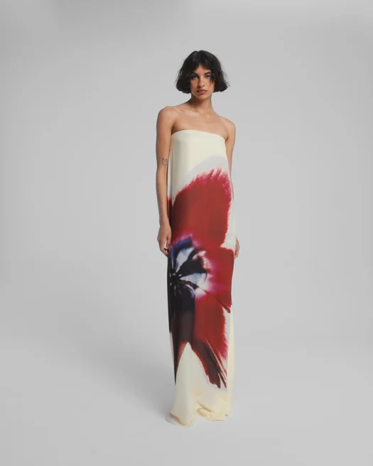 ANTHEIA DRESS | Rat & Boa