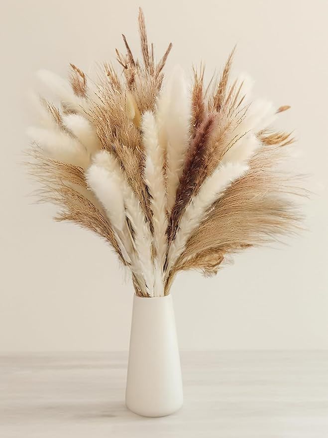Natural Dried Pampas Grass Bouquet, 60 Pcs Dried Reed Flowers, Boho Home Decor Bouquet for Home T... | Amazon (US)