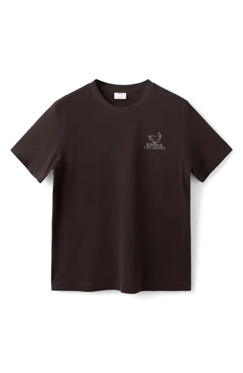 MANGO Graphic T-Shirt in Brown at Nordstrom, Size Large | Nordstrom